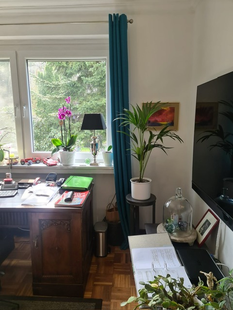 Provisionsfrei für den Käufer: Freistehendes Einfamilienhaus in Stade mit tollem Grundstück