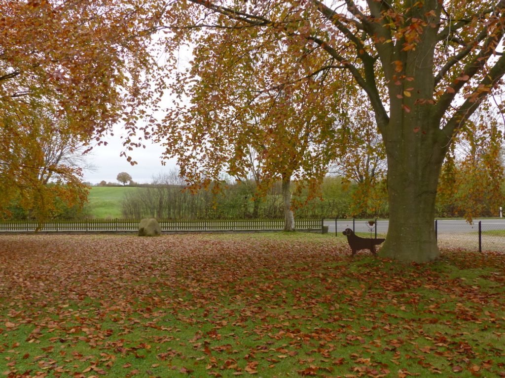 Einfamilienhaus 
mit großem Garten und 
Scheune – leben Sie Ihre Wünsche aus!