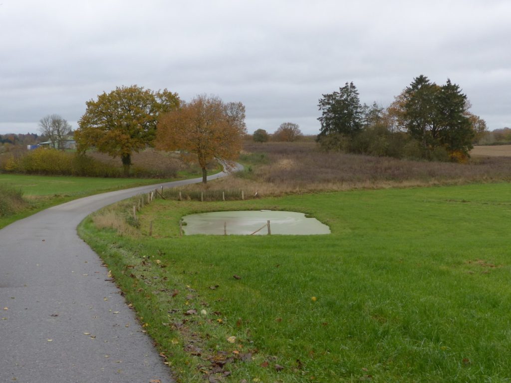 Einfamilienhaus 
mit großem Garten und 
Scheune – leben Sie Ihre Wünsche aus!