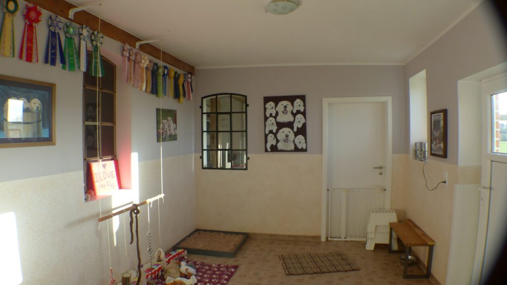 Einfamilienhaus 
mit großem Garten und 
Scheune – leben Sie Ihre Wünsche aus!