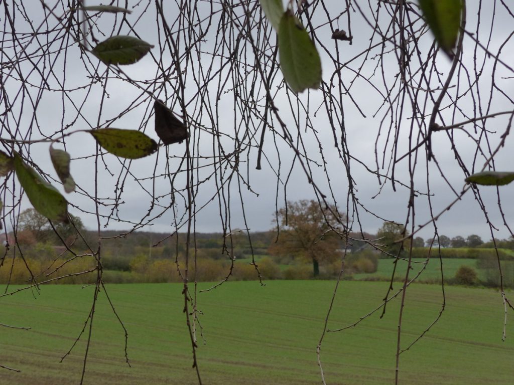 Einfamilienhaus 
mit großem Garten und 
Scheune – leben Sie Ihre Wünsche aus!