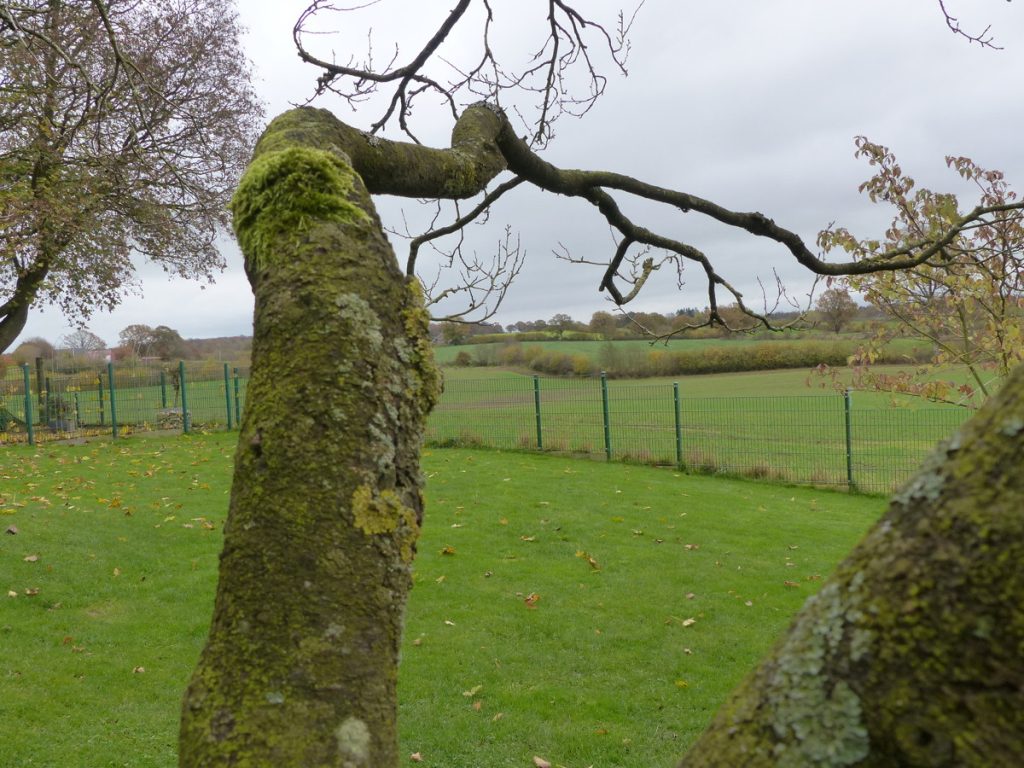 Einfamilienhaus 
mit großem Garten und 
Scheune – leben Sie Ihre Wünsche aus!