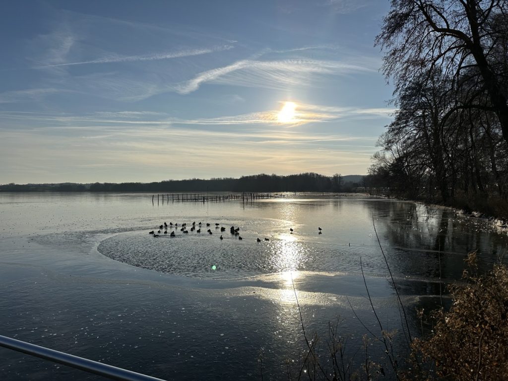 Direkt am Plöner See! 80,75 m² groß, exklusiv, barrierearm, toller Balkon mit direktem Seeblick!