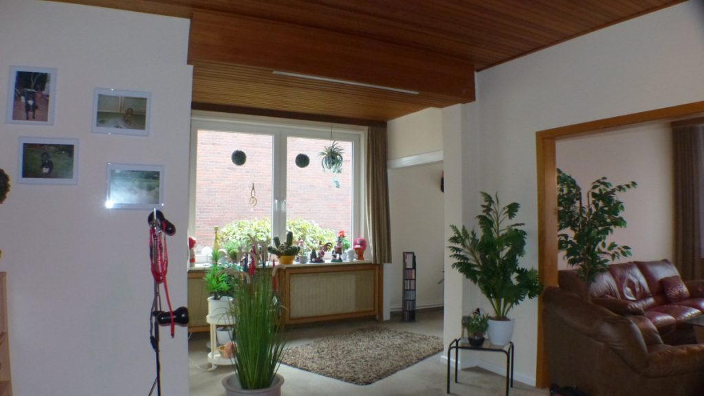 Dien Tohuus Immobilien bietet an: Einfamilienhaus mit Einliegerwohnung und Wohnung