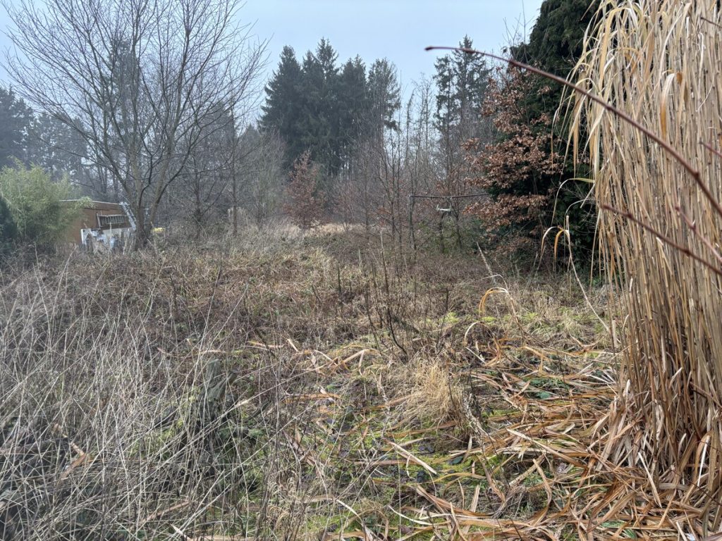 Entkerntes EInfamilienhaus zur umfangreichen Sanierung oder zum Abriss an der Plöner Str. zu kaufen!